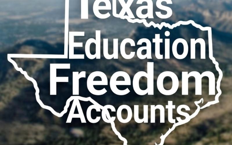 Texas school choice