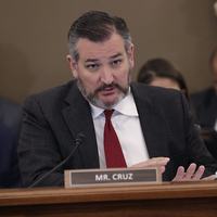 Ted Cruz - U.S. Customs and Border Protection