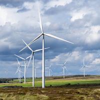 A field full of wind turbines