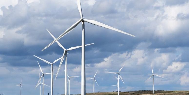 A field full of wind turbines