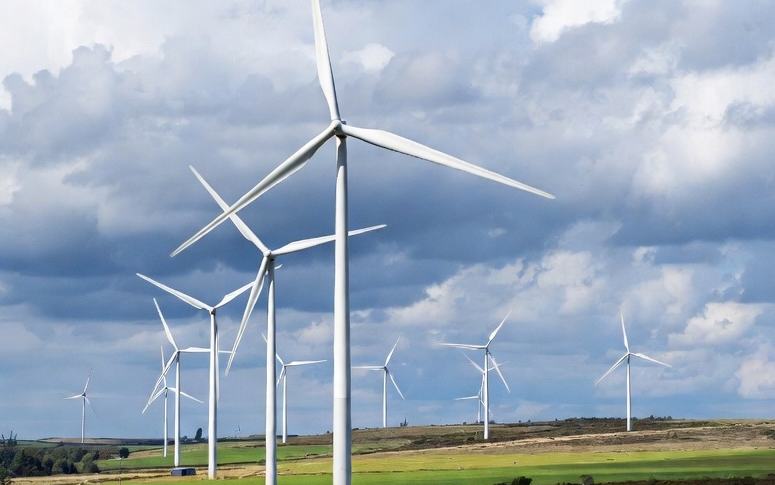 A field full of wind turbines