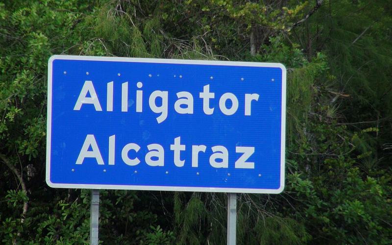 Alligator Alcatraz Photo