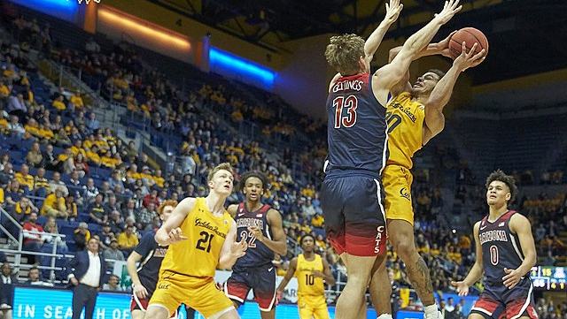 Arizona Basketball
