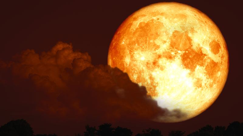 Blood Moon