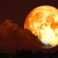Blood Moon