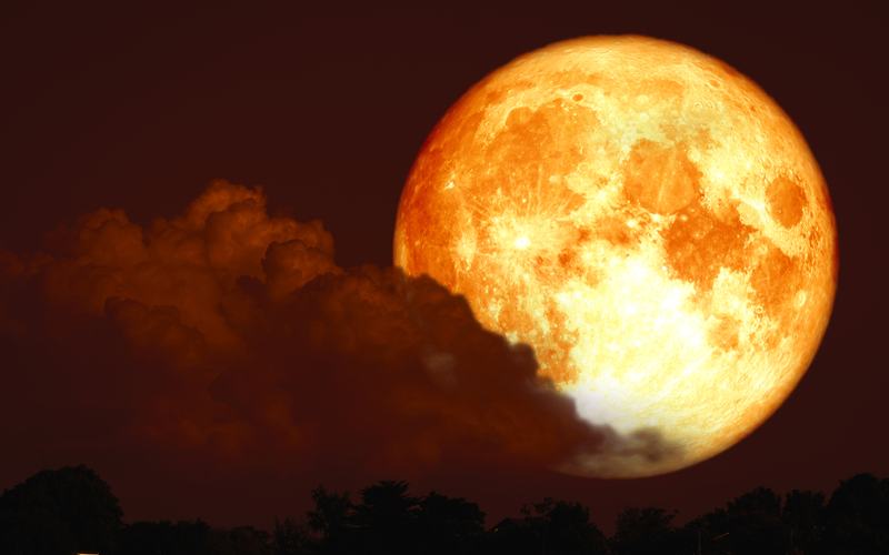Blood Moon
