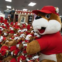 Buc-ee's