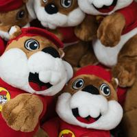 Buc-ee's