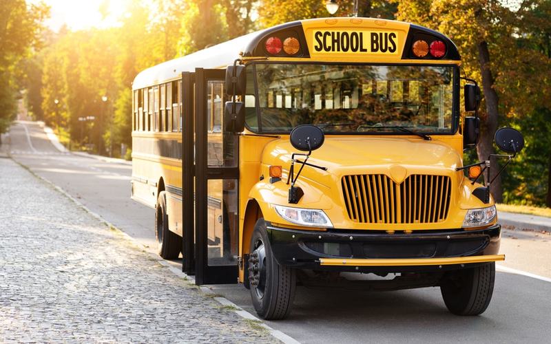 Bus