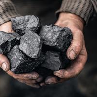 Coal