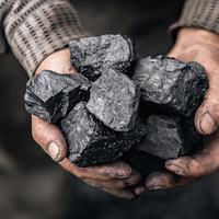 Coal
