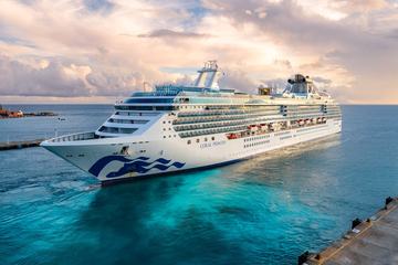 Cruise Ship