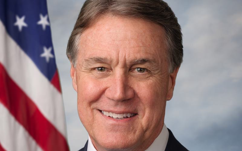 David Perdue