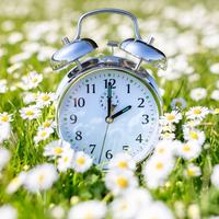 Daylight Saving Time
