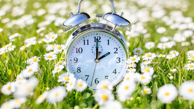 Daylight Saving Time