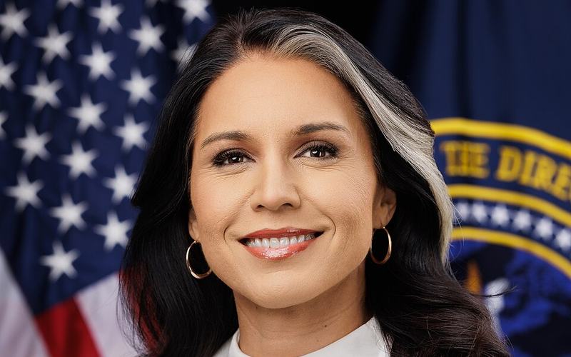 Director_Tulsi_Gabbard_Official_Portrait