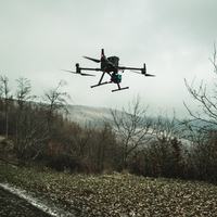 Drone Forest