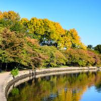 East Potomac Park