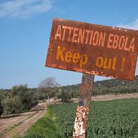 Ebola Picture