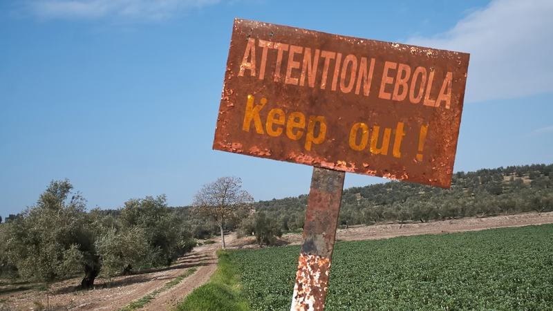 Ebola Picture