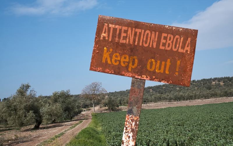 Ebola Picture