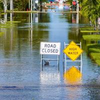 Flood
