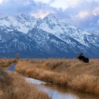Grand Teton