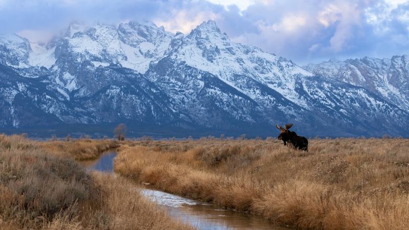 Grand Teton