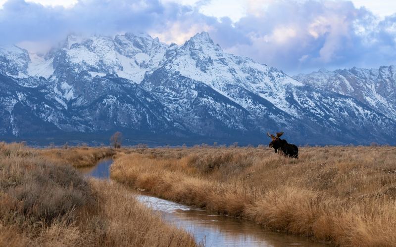 Grand Teton