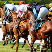 Horse Racing