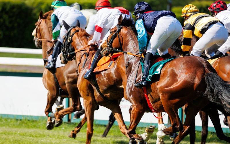 Horse Racing