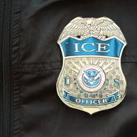 ICE Picture