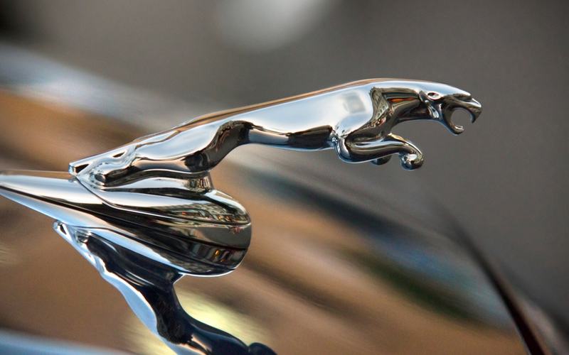Jaguar