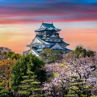 Japan Pic