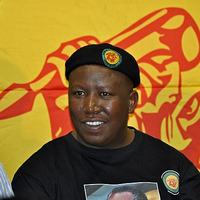 Julius Malema Picture
