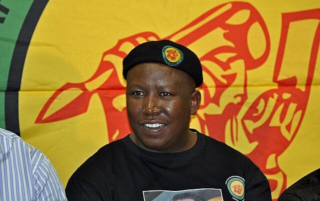 Julius Malema Picture