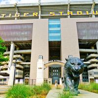 LSU Football