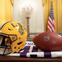 LSU Picture