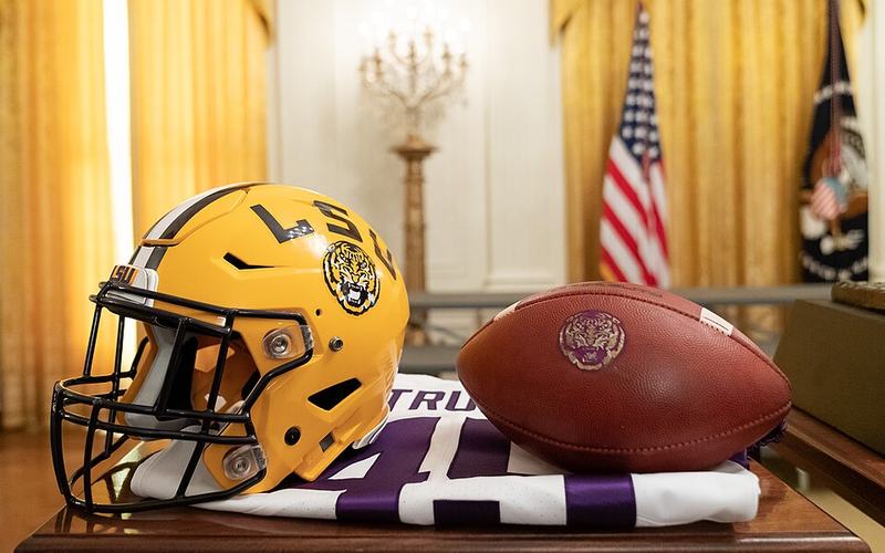 LSU Picture