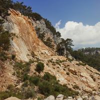 Landslide Picture
