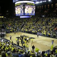 Michigan Basketball