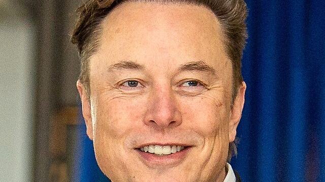 Musk Picture