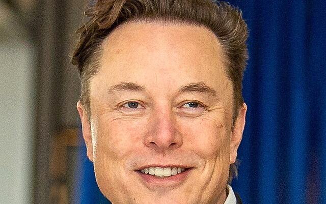 Musk Picture