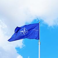 NATO Flag