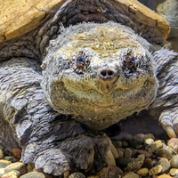 Nebraska Game and Parks Commission