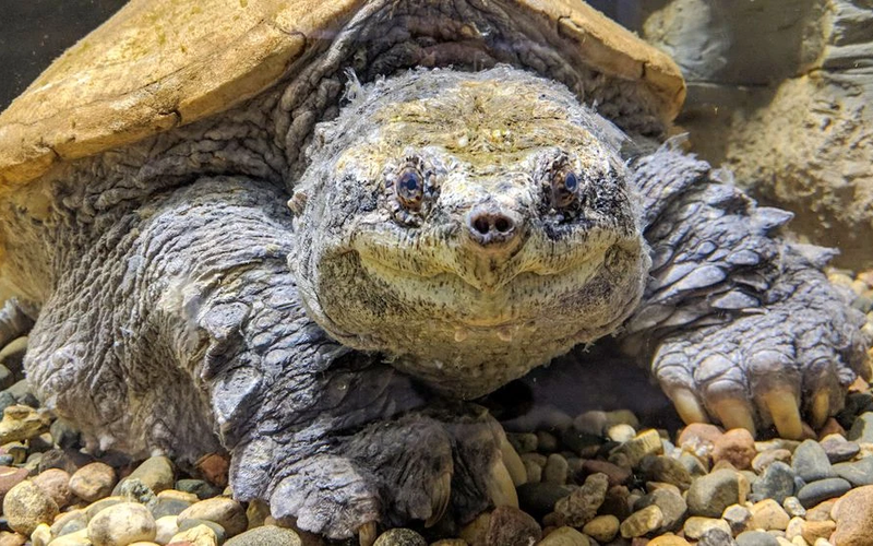 Nebraska Game and Parks Commission