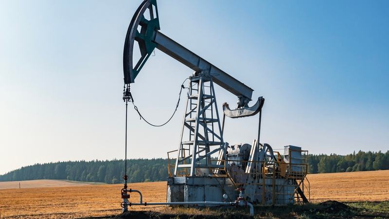Oil