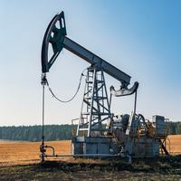 Oil