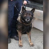 PPB