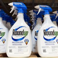 Roundup